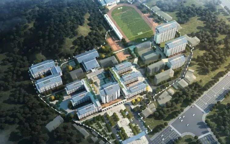 东升国际官网-追求康健,你我一起生长